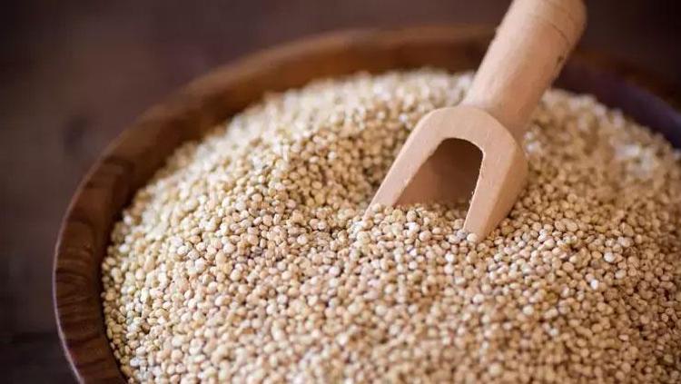 Vücudu santim santim yeniliyor Kolesterolü %15 düşürüyor: Tüketmeden önce suda bekletin, salatasını yapıp kaşıklayın
