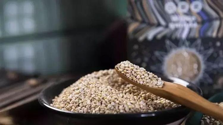 Vücudu santim santim yeniliyor Kolesterolü %15 düşürüyor: Tüketmeden önce suda bekletin, salatasını yapıp kaşıklayın