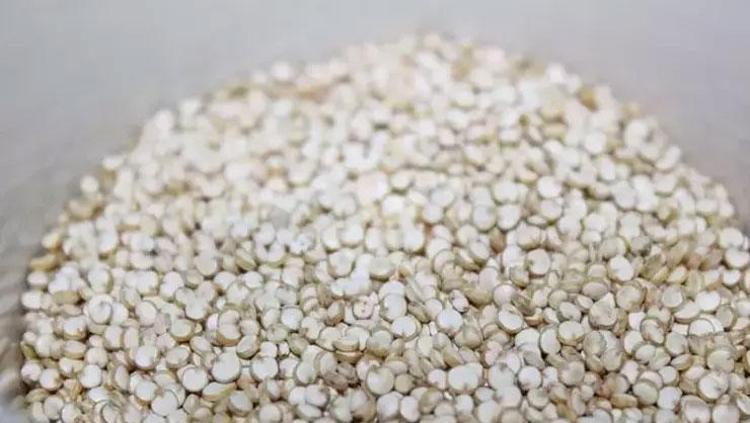 Vücudu santim santim yeniliyor Kolesterolü %15 düşürüyor: Tüketmeden önce suda bekletin, salatasını yapıp kaşıklayın