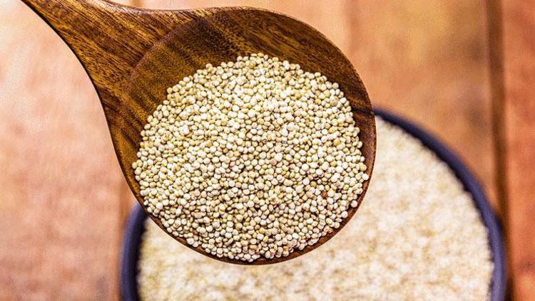 Vücudu santim santim yeniliyor Kolesterolü %15 düşürüyor: Tüketmeden önce suda bekletin, salatasını yapıp kaşıklayın