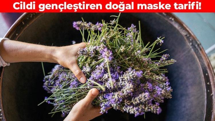Asırlardır cildi güzelleştiren tarif Yüzde 100 doğal nemlendirici: Kahverengi lekelerin kökünü kazıyor, kırışıklıkları silgi gibi siliyor