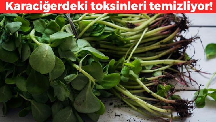 Manganez, potasyum ve glutatyon zengini Halk arasında pirpirim olarak biliniyor, karaciğerdeki toksinleri süzgeç gibi süzüyor