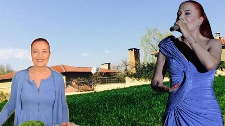 İstanbuldan kaçan Candan Erçetin çiftlik kurdu Organik tarım bile yapıyor