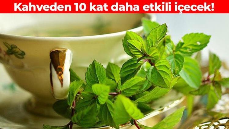 Sabahları kahve yerine tüketin Gün boyu etkisini gösteriyor: Vücudu derin uykusundan uyandırıyor