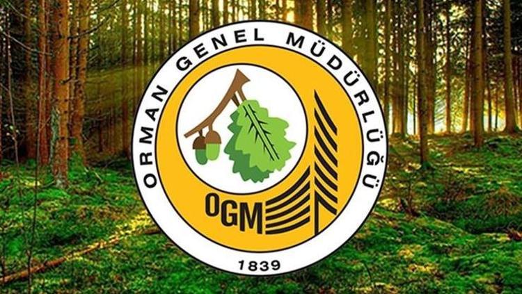 OGM YENİ İŞÇİ ALIMI BAŞVURU: Orman Genel Müdürlüğü geçici ve sürekli işçi alımı başvurusu nereden, nasıl yapılır