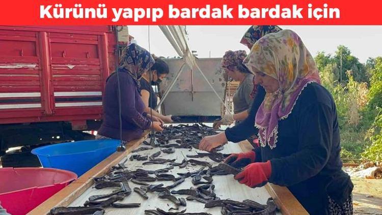 Geleneksel tıbbın mucizesi olarak biliniyor Kürünü yapıp bardak bardak için: İltihabın kökünü kurutuyor, kansızlığı günler içerisinde gideriyor