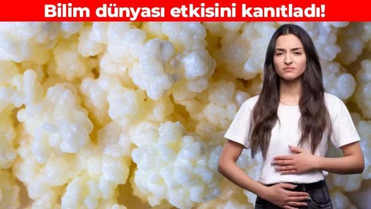 Bağırsakları harıl harıl çalıştırıyor Herkesin mutfağında mutlaka olmalı: Bilim dünyası etkisini kanıtladı
