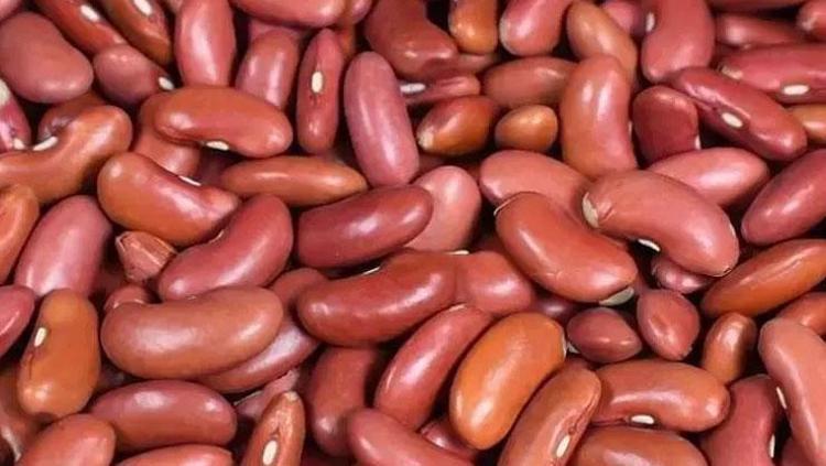KAN ŞEKERİ DÜZENLEMEYE YARDIMCI OLUR