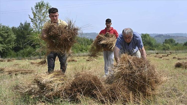 Kaşık kaşık yiyince safra kesesini temizliyor Tıkalı damarları lavabo gibi açıyor, kolesterolden eser bırakmıyor