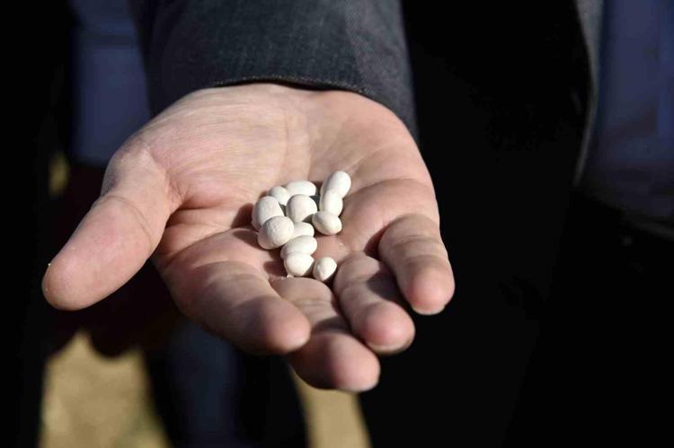 Nohut ve fasulyeyi suda bekletmeye son Gazını 15 dakikada sıfırlıyor: Zaman kaybetmek istemeyen denesin