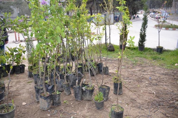 Bilecikte dededen toruna uzanan bir meslek mirası: Fiyatları 150 liradan başlıyor
