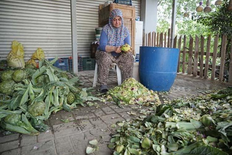 KARACİĞERİ KORUR VE YENİLER