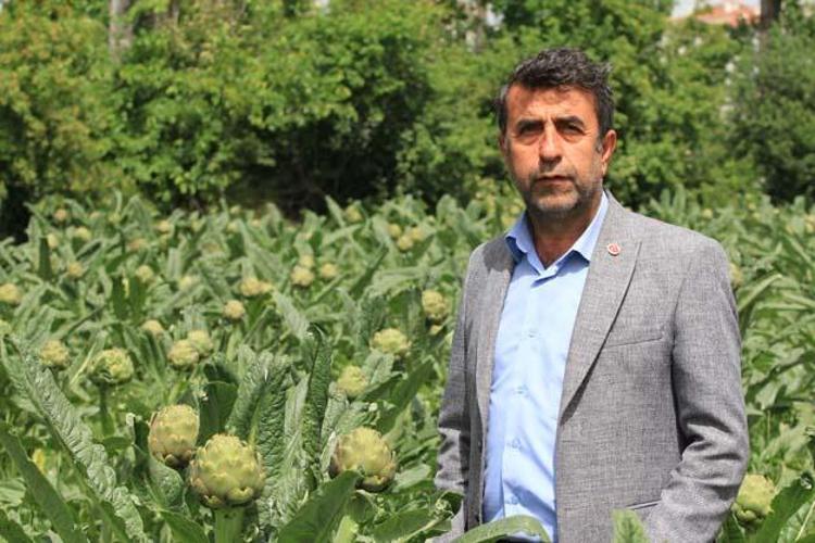 Almak isteyenler şubattan beri sıra bekliyor Tanesi 60 TLden satılıyor: Karaciğeri yeniden doğmuş gibi yapıp vücudu antioksidana boğuyor