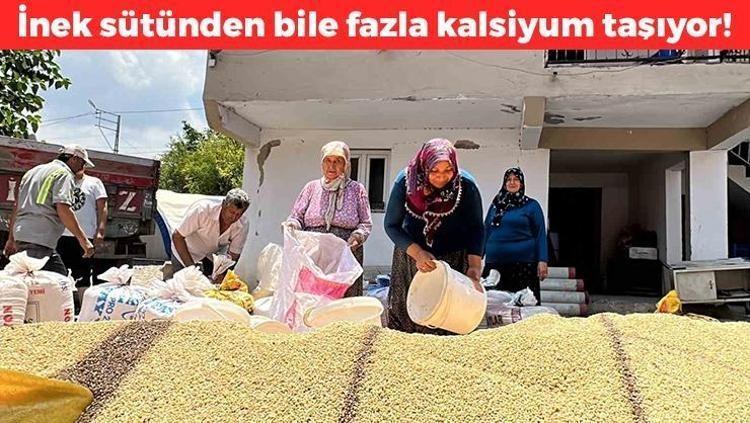 Kalsiyumda inek sütünü solluyor, demir, magnezyum çinko ne ararsan onda 1 avuç yiyince kolesterol seviyelerini sıfırlıyor