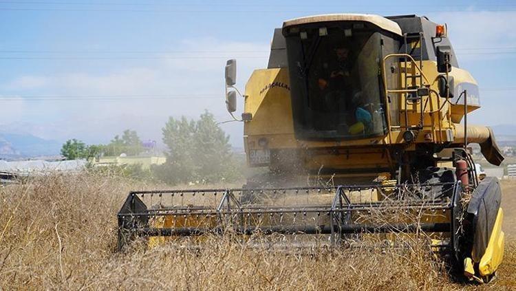 Kalsiyumda inek sütünü solluyor, demir, magnezyum çinko ne ararsan onda 1 avuç yiyince kolesterol seviyelerini sıfırlıyor