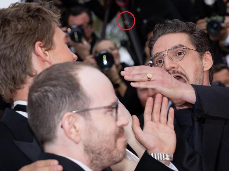 Kırmızı halıda ‘arı’ paniği Emma Stone çok korkunca imdadına rol arkadaşları yetişti
