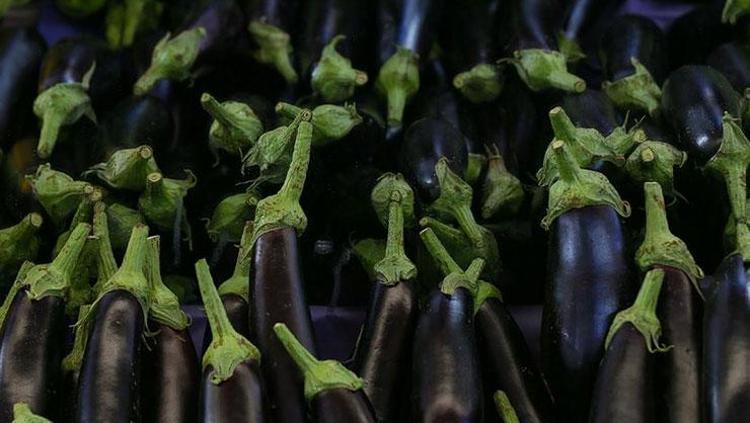 PATLICANIN FAYDALARI NELERDİR
