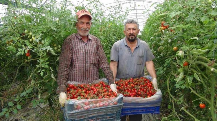 Mersinde hasadı başladı Kilosu 25 liraya kadar indi: Tıkalı damarları yağ çözücü gibi açıp, kemikleri beton gibi güçlendiriyor