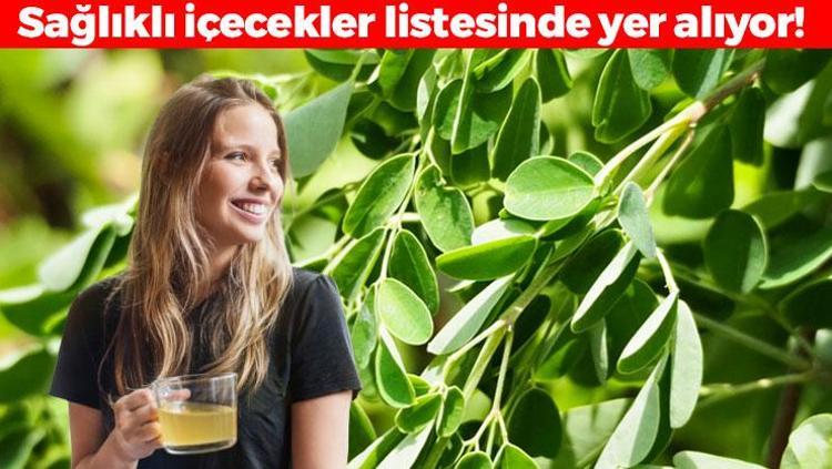 Süper besin olarak da biliniyor Yeşil çayı tarihe karıştırıyor: 300den fazla hastalığa deva oluyor, çayını demleyip bardak bardak için