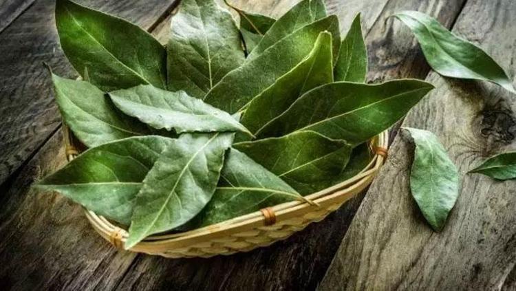 ZİHNİ VE BEDENİ RAHATLATAN AROMATERAPİ