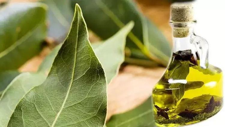 CİLT SAĞLIĞINI KORUYAN DOĞAL ANTİSEPTİK
