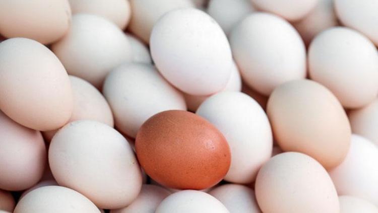 Süt, yumurta, tereyağı... Meğer hepsinin süresi varmış: Herkes aynı hatayı yapıyor