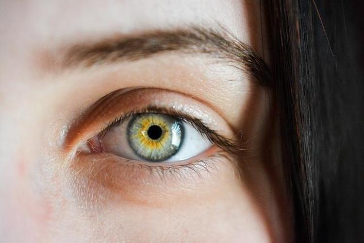 1 damlası kaşları coşturuyor: Kaş ve kirpik gürleştiren doğal serum tarifi