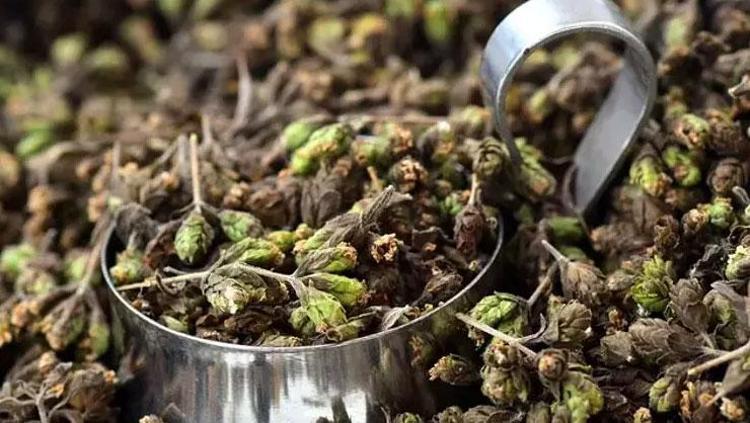 Fazla efor göstermeden yağlarınızı yakın Vücudu kağıt gibi inceltiyor: Metabolizmayı makine gibi çalıştırıyor