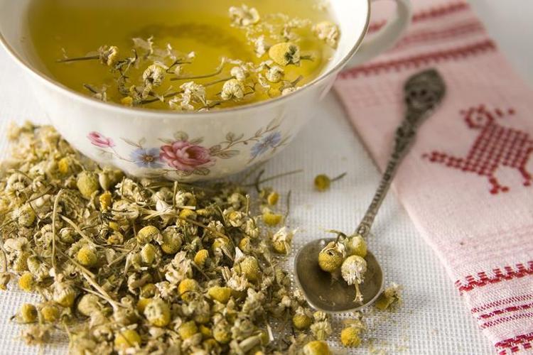 PAPATYA ÇAYI GÜBRESİ