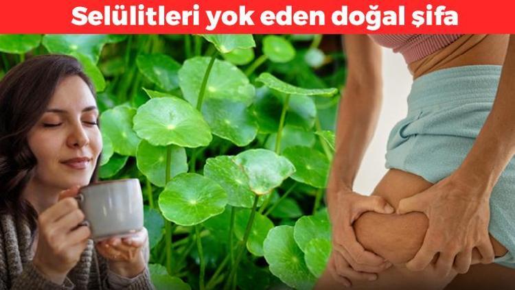 Selülitleri yok eden doğal şifa Haftalar içerisinde etkisi gösteriyor: Kimyasal kremleri tarihe gömüyor, birkaç bardak içmek yetiyor