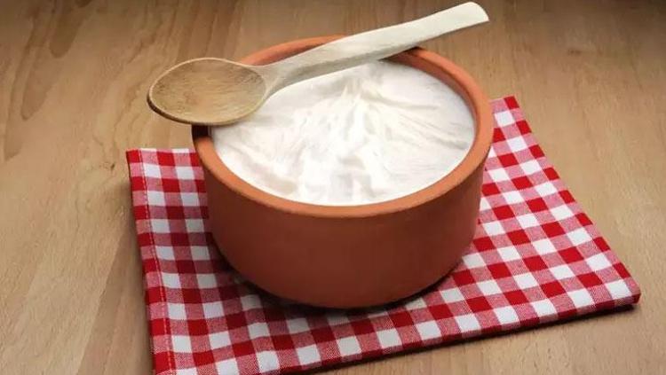 EKŞİ YOĞURT NASIL MAYALANIR