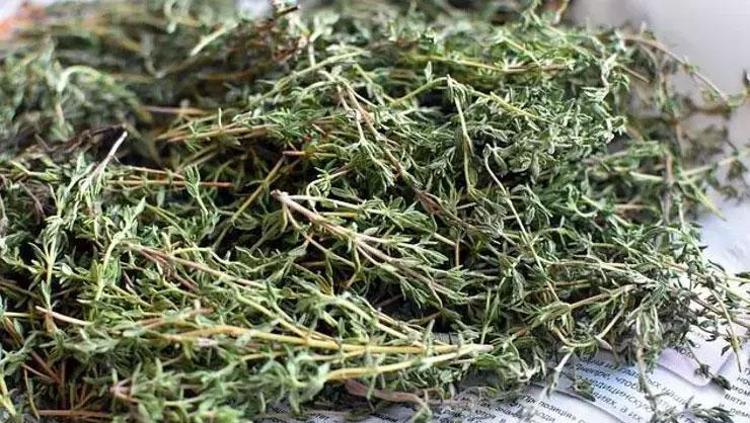 İbn-i Sina’nın kalıcı kilo verme yöntemi Yüzlerce yıl önce anlatmış: Çayını yapıp bardak bardak için, cayır cayır yağ yakan yöntem