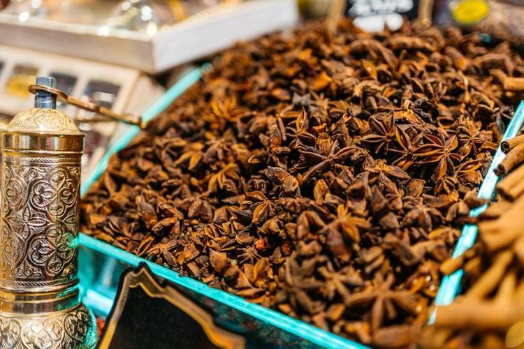 Toroslarda keşfedildi Dağda kendiliğinden yetişiyor: Nesli yüksek tehdit altında, doğal balgam söktürücü