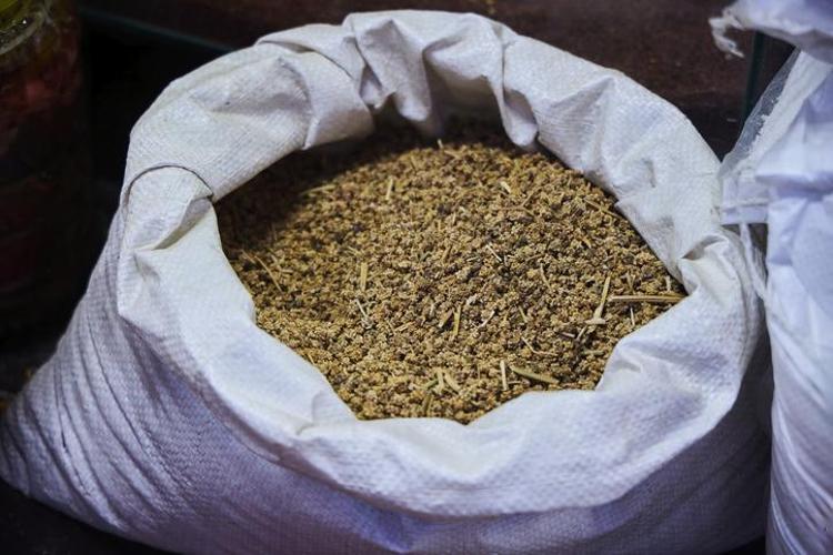 Toroslarda keşfedildi Dağda kendiliğinden yetişiyor: Nesli yüksek tehdit altında, doğal balgam söktürücü