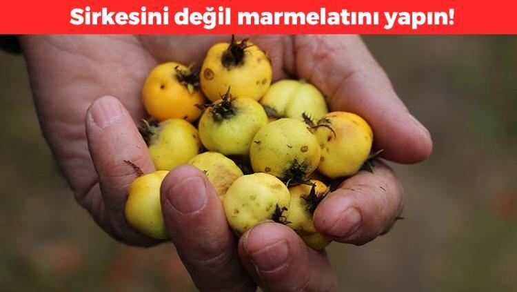 Sirkesini değil marmelatını yapın Kan dolaşımını hızlandırıyor: İp gibi incelmiş damarları genişletiyor