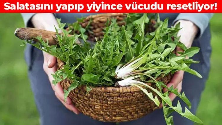 Egeliler sofrasından eksik etmiyor Herkes faydalarını bilmeli: Damarda kolesterolden eser bırakmıyor