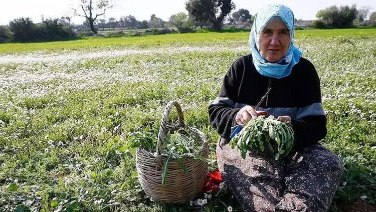 ANTİİNFLAMATUAR ETKİLERİ BULUNUR