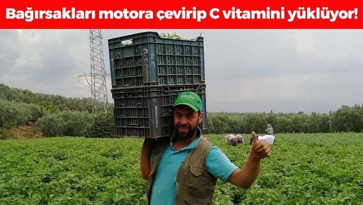 Bursada hasadı başladı Kilosu 65 TL: Bağırsakları motor gibi çalıştırıp C vitamini yüklüyor En güçlü antioksidan, kemikleri betona çeviriyor