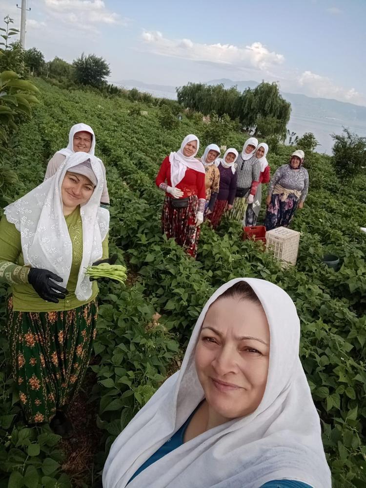 Bursada hasadı başladı Kilosu 65 TL: Bağırsakları motor gibi çalıştırıp C vitamini yüklüyor En güçlü antioksidan, kemikleri betona çeviriyor