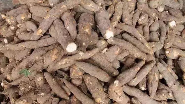 GLUTENSİZ BESİN SEÇENEĞİ
