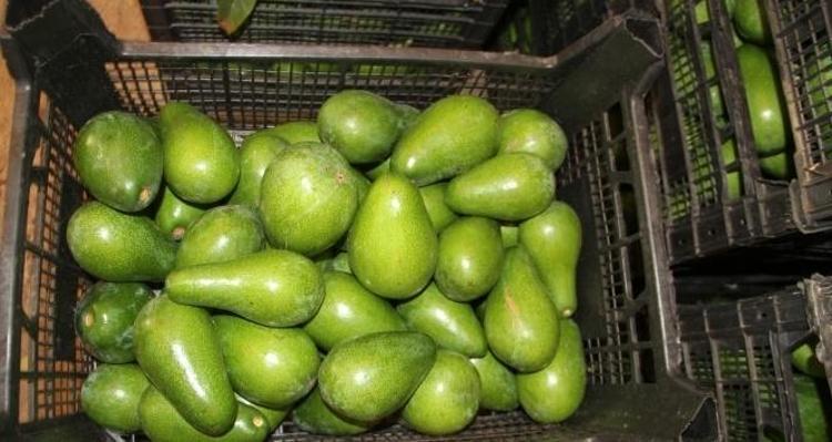 Derin kırışıklıkları ütü gibi açıyor, ince çizgileri dolduruyor Gece sürenler sabah 10 yaş genç uyanıyor