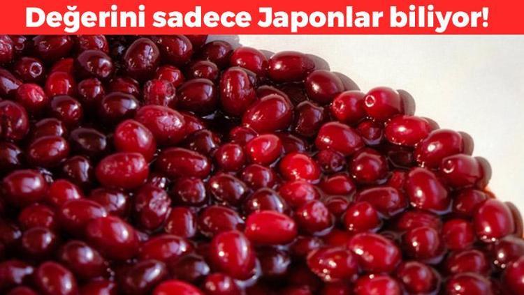 Kanser riskini %16 azaltıyor Değerini Türkler değil Japonlar biliyor