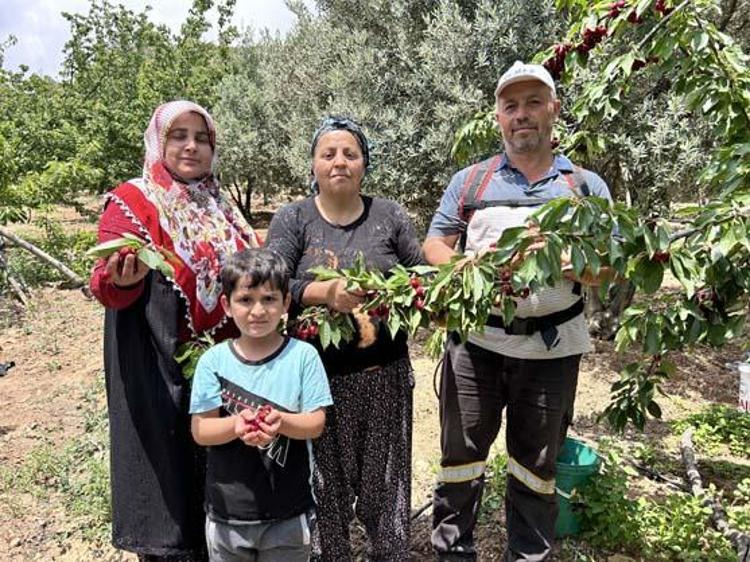 KİRAZDA BEKLEDİĞİMİZ KALİTEYİ KURAKLIK VE HAVA ŞARTLARINDAN DOLAYI ALAMADIK