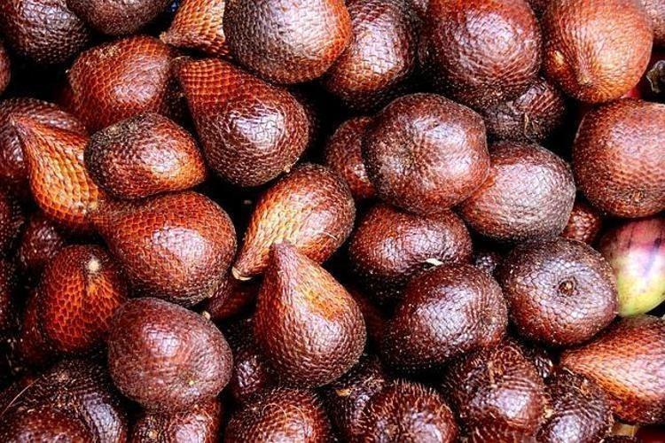 YILAN MEYVESİNİN BESİN DEĞERLERİ NELERDİR