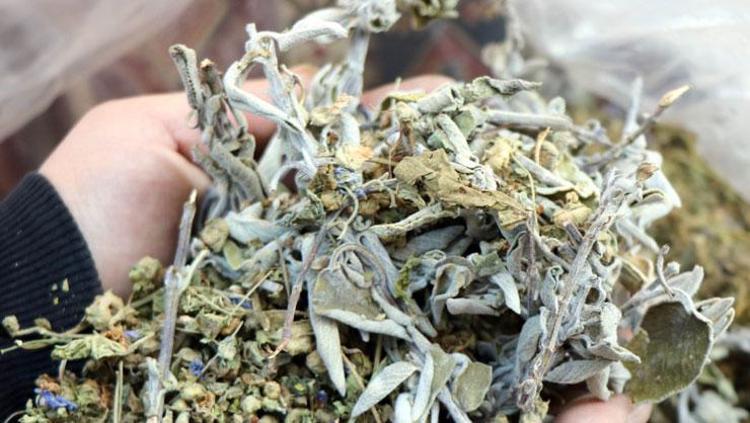 1 bardağı vücudu dipçik gibi yapıyor Çayını yapıp bardak bardak için: Bağışıklığı anında roketliyor, metabolizmayı canavar gibi yapıyor