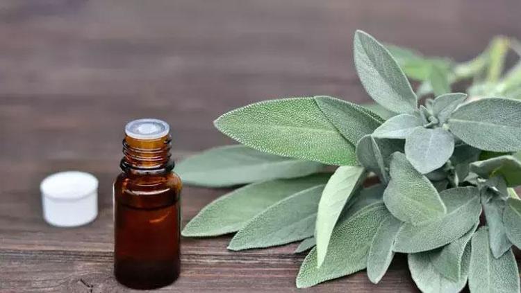 1 bardağı vücudu dipçik gibi yapıyor Çayını yapıp bardak bardak için: Bağışıklığı anında roketliyor, metabolizmayı canavar gibi yapıyor