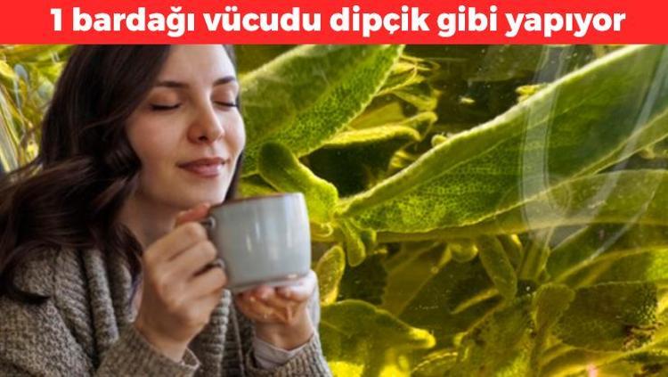 1 bardağı vücudu dipçik gibi yapıyor Çayını yapıp bardak bardak için: Bağışıklığı anında roketliyor, metabolizmayı canavar gibi yapıyor