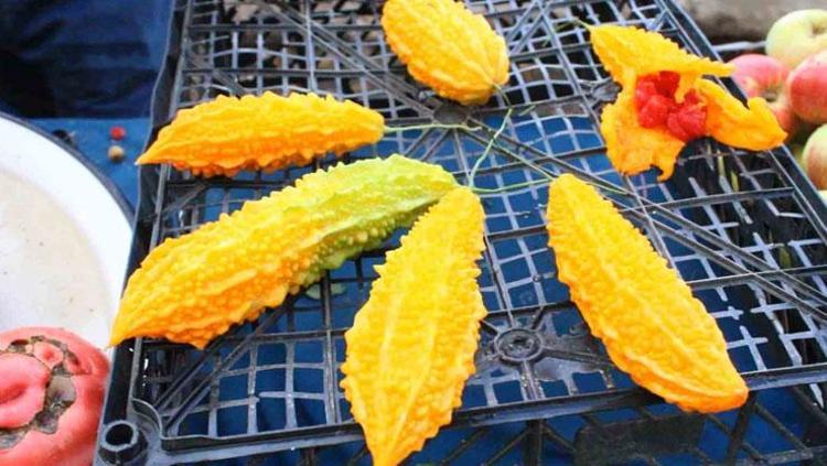 Protein, vitamin, mineral ne varsa onda Zeytinyağıyla karıştırıp tüketin: Tüm dünya faydalarını konuşuyor
