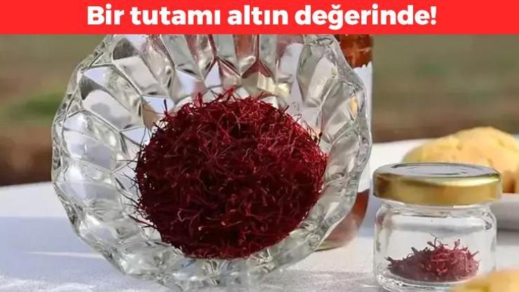 Bir tutamı altın değerinde Yüzyıllardır hem mutfaklarda hem de sağlık alanında kullanılıyor: Damardaki iltihabı söküp atıyor, vücudu dipçik gibi yapıyor