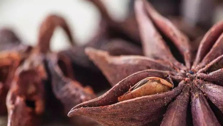 ANASON: SİNDİRİMİ DESTEKLİYOR